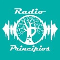 Principios Radio